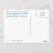 Orangutan bij het Sanctuary Briefkaart (Achterkant)