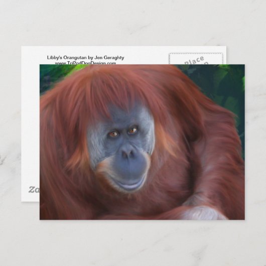 Orangutan Briefkaart (Voorkant / Achterkant)