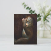 Orangutan Briefkaart (Staand voorkant)