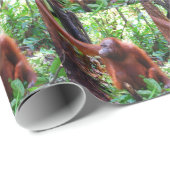 Orangutan Cadeaupapier (Rol Hoek)