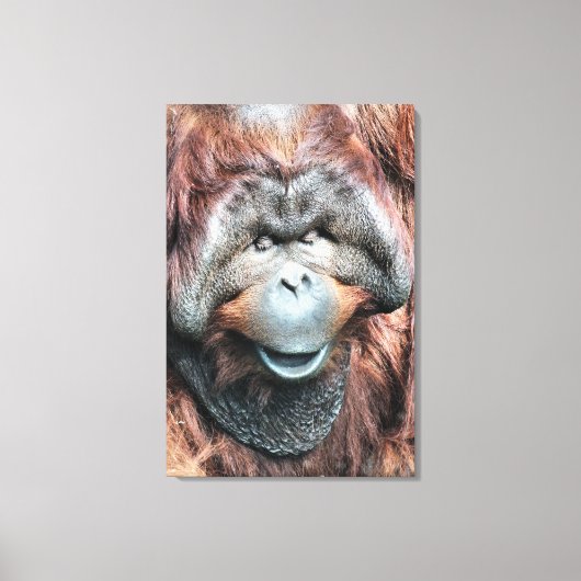 ORANGUTAN CANVAS AFDRUK (Voorkant)