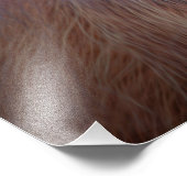 Orangutan Foto Afdruk (Hoek)