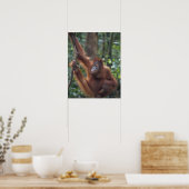 Orangutan Hanging on Liana Poster (Keuken)