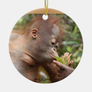 Orangutan Holiday-behandelingen Keramisch Ornament