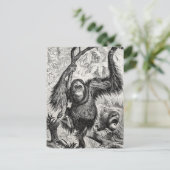  Orangutan Illustration - 1800's aap Briefkaart (Staand voorkant)