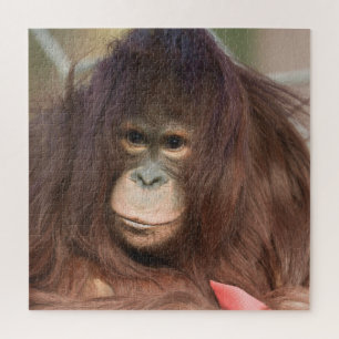 Orangutan Kayan Legpuzzel