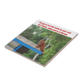 Orangutan Kerstmis Borneo Tegeltje (Zijkant)