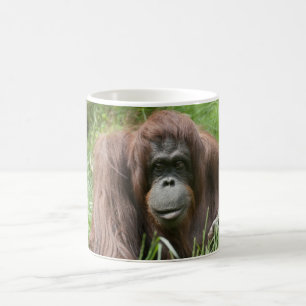 Orangutan Koffiemok