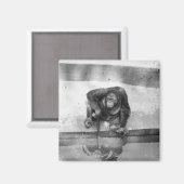 Orangutan Magneet (Voorkant / Achterkant)
