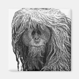 Orangutan Magnet Magneet