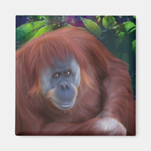 Orangutan Magnet Magneet (Voorkant)