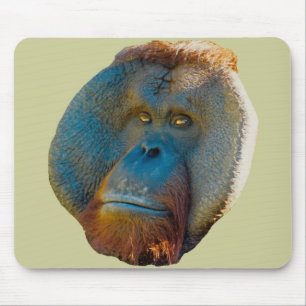 Orangutan Male Muismat