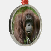 Orangutan Metalen Ornament (Rechts)