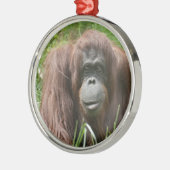 Orangutan Metalen Ornament (Links)