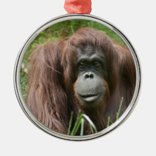 Orangutan Metalen Ornament