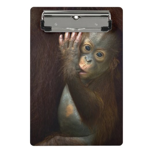 Orangutan Mini Klembord (Voorkant)