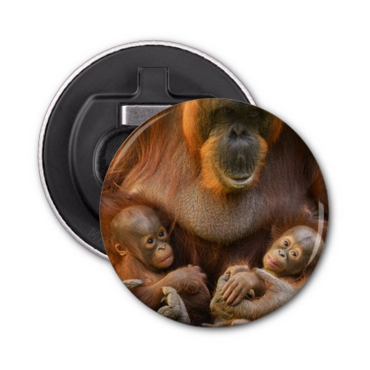Orangutan Moeder die twee baby's houdt Button Flesopener (Voorkant)