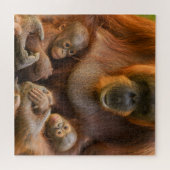 Orangutan Moeder die twee baby's houdt Legpuzzel (Horizontaal)