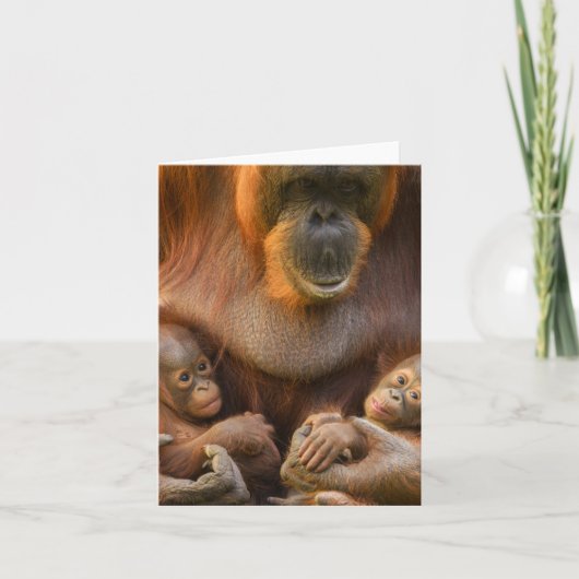 Orangutan Moeder die twee baby's houdt Notitiekaartje (Voorkant)