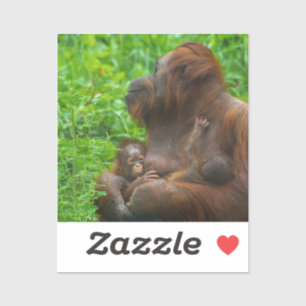 Orangutan Moeder en Babies Sticker