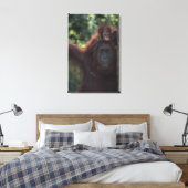 Orangutan Moeder met Baby Canvas Afdruk (Insitu (Slaapkamer))