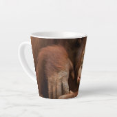 Orangutan Mother and Baby at the Zoo Latte Mok (Linkerhoek)