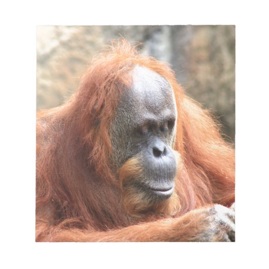 Orangutan Notitieblok (Voorkant)