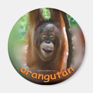 Orangutan Officiële Verfan Magneet