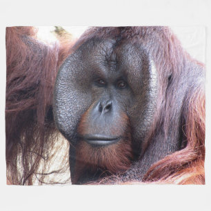 Orangutan op Large Fleece Blanket Deken