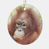 Orangutan Orphan Dr. Ann Keramisch Ornament (Links)