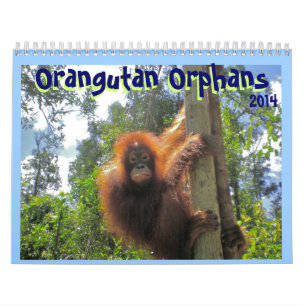 Orangutan Orphans Kalender