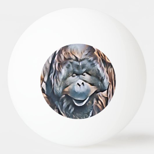 ORANGUTAN PINGPONGBALLEN (Voorkant)