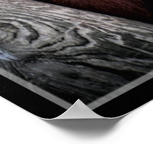 Orangutan Poster (Hoek)