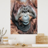 ORANGUTAN POSTER (Keuken)