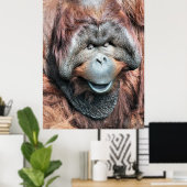 ORANGUTAN POSTER (Thuiskantoor)