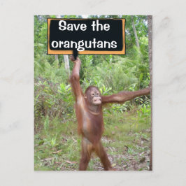 Orangutan Protest Sign Briefkaart