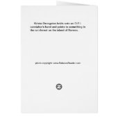 Orangutan Rainforest Hike (Achterkant)