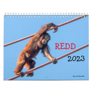 Orangutan Redd 2023 Agenda Kalender
