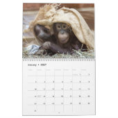 Orangutan Redd 2023 Agenda Kalender (Jan 2027)