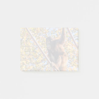 Orangutan Redd au National Zoo Post-it Notes