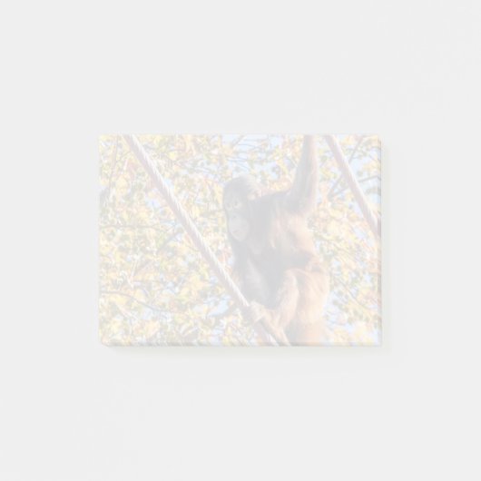 Orangutan Redd bij National Zoo Post-it Notes (Voorkant)