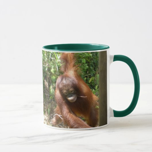 Orangutan Save Great Apes Mok (Rechts)