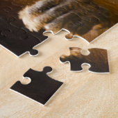 Orangutan Singapore Zoo . Legpuzzel (Zijkant)