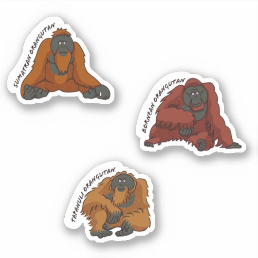 "Orangutan Species" Sticker (Voorkant)