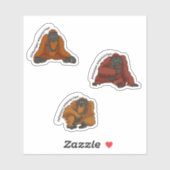 "Orangutan Species" Sticker (Vel)