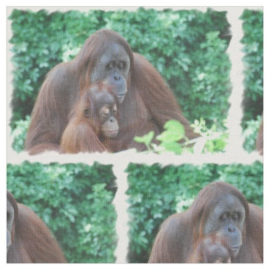Orangutan Stof (Close Up)