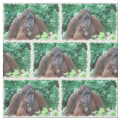 Orangutan Stof (Swatch)