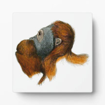 Orangutan Tabletop Plaque met Easel
