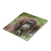 Orangutan Tegeltje (Zijkant)