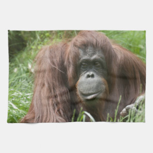 Orangutan Theedoek